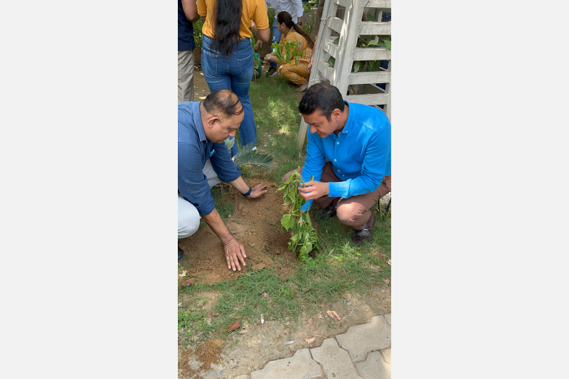 Environment Day 2025